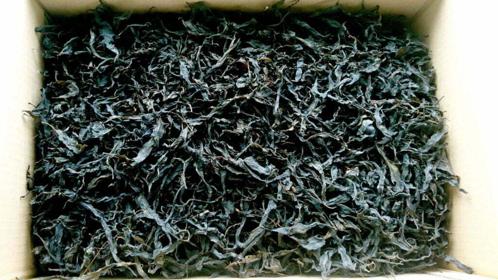 Juoda Ivan Čai arbata