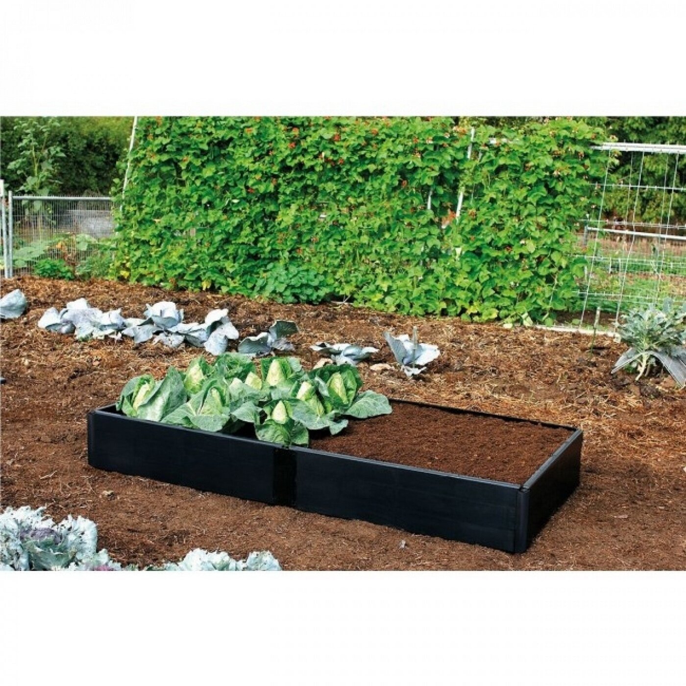 Pakeltos lysvės prailginimas „Grow“