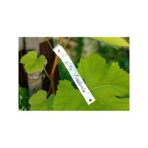 etiketes augalams tyvek