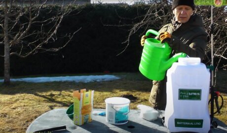 Pavasarinis Sodo purškimas