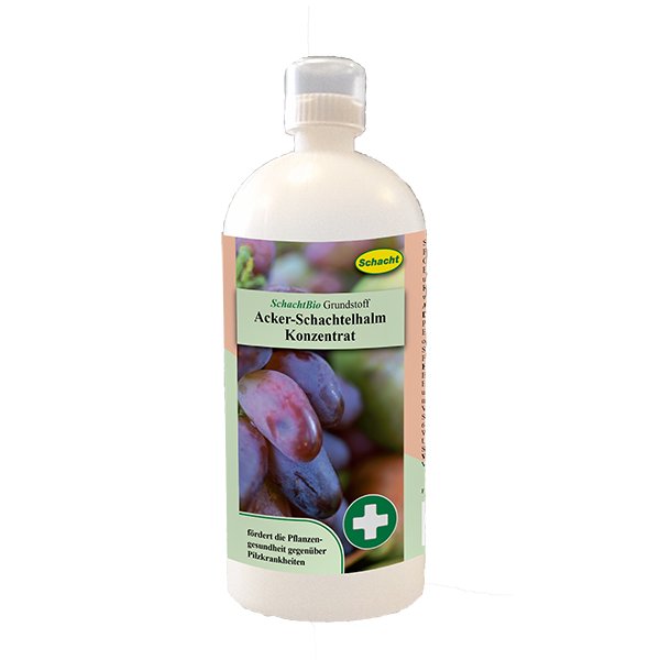 Bio-organinis asiūklio koncentratas nuo grybinių lygų