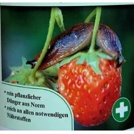 Priemonės nuo šliužų