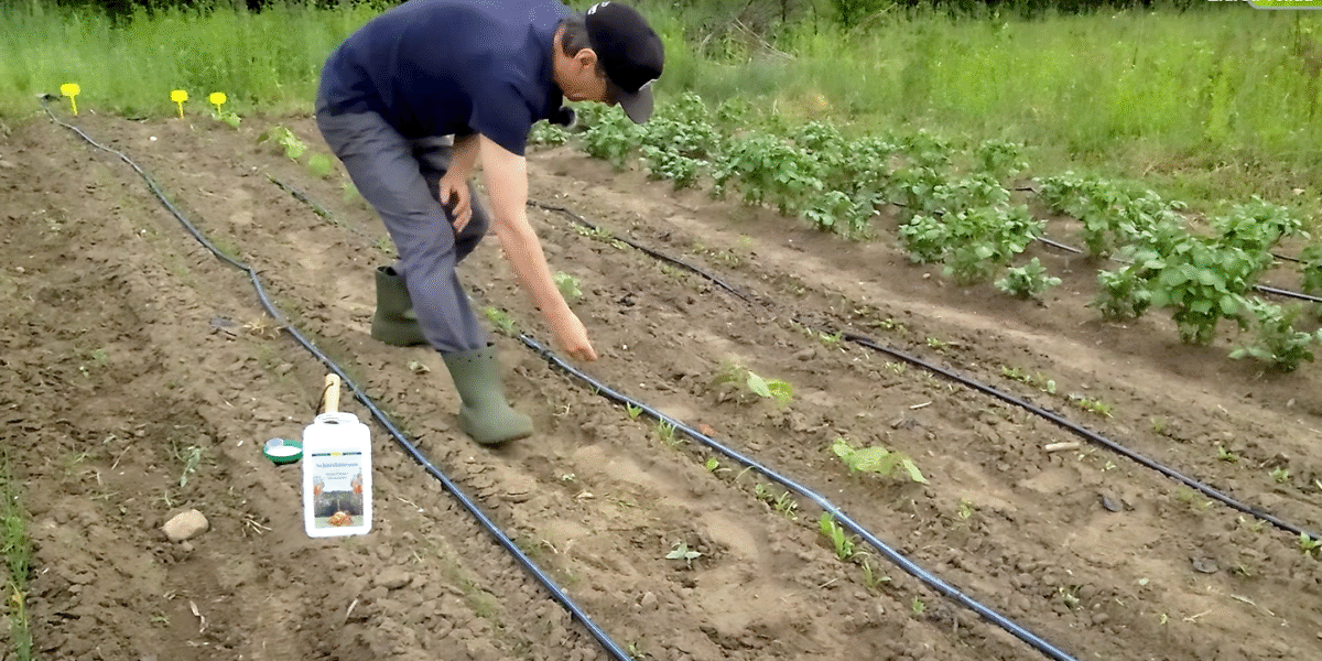 nimbamedis_pries_sliuzus