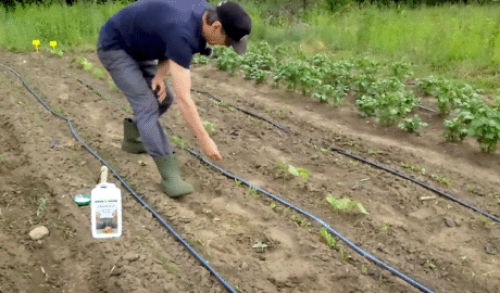 nimbamedis_pries_sliuzus