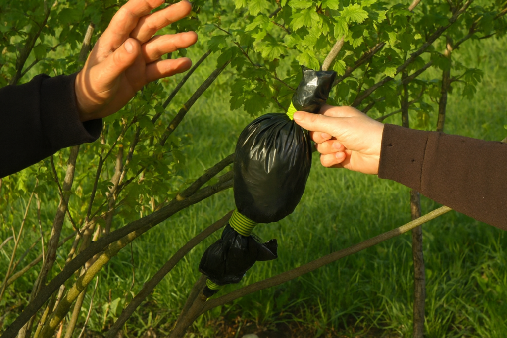 dauginimas atlankomis