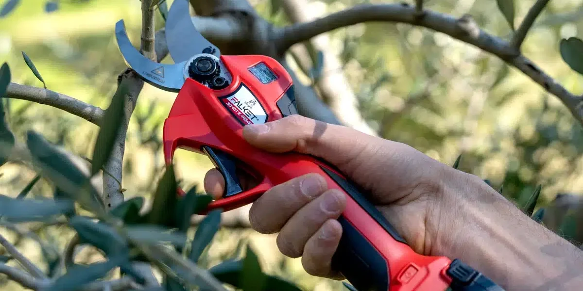 Elektrinis_sekatorius_genetuvas