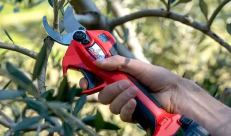 Elektrinis_sekatorius_genetuvas